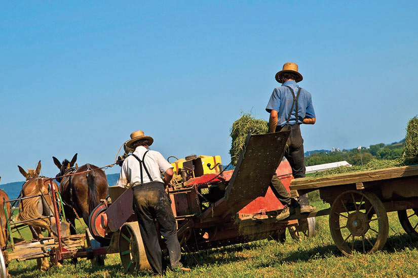 image Etats Unis Pensylvanie Amish agriculteurs  fo