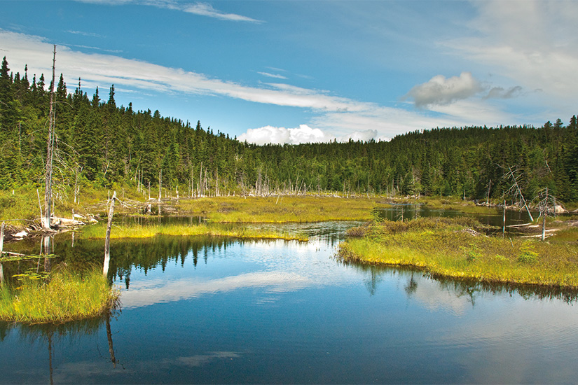 (image) image Lac au Parc National du Saguenay Quebec 29 as_16362558